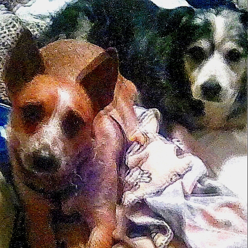 Meet your Posher, Jesse